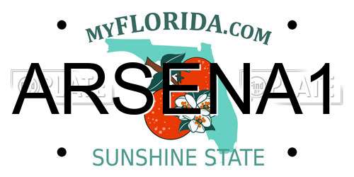 ARSENA1 Florida License Plate