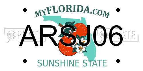 ARSJ06 Florida License Plate
