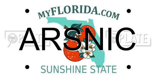 ARSNIC Florida License Plate