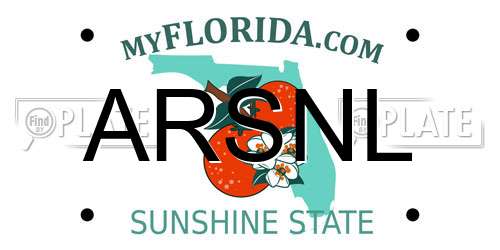 ARSNL Florida License Plate