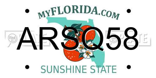 ARSQ58 Florida License Plate