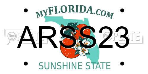 ARSS23 Florida License Plate