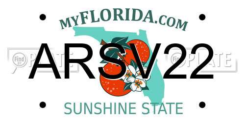 ARSV22 Florida License Plate