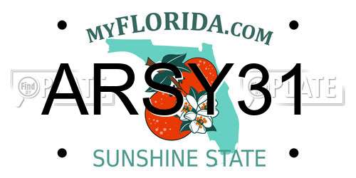 ARSY31 Florida License Plate