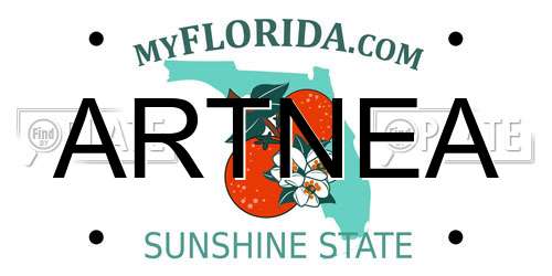 ARTNEA Florida License Plate