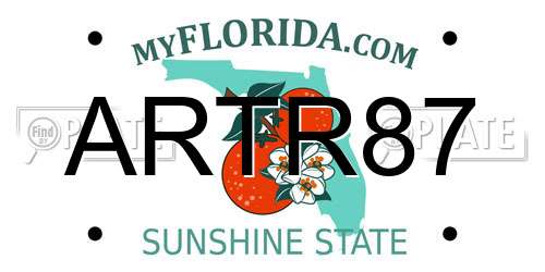 ARTR87 Florida License Plate