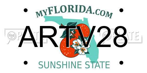 ARTV28 Florida License Plate