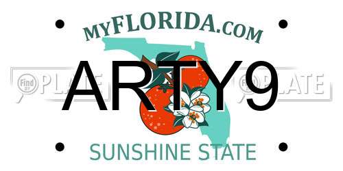 ARTY9 Florida License Plate
