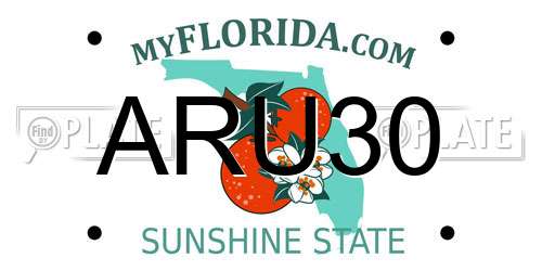 ARU30 Florida License Plate