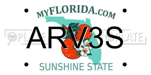 ARV3S Florida License Plate