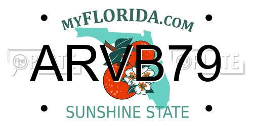 ARVB79 Florida License Plate