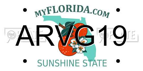 ARVG19 Florida License Plate