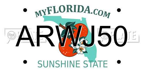 ARWJ50 Florida License Plate