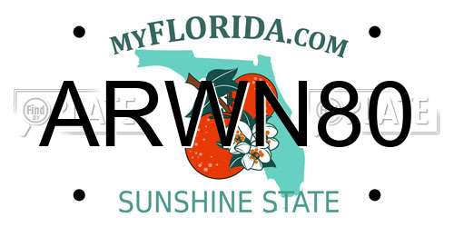 ARWN80 Florida License Plate