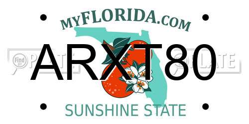ARXT80 Florida License Plate