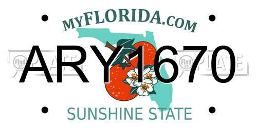 ARY1670 Florida License Plate