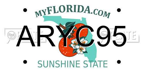 ARYC95 Florida License Plate