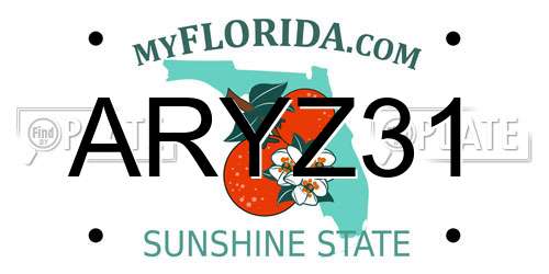 ARYZ31 Florida License Plate