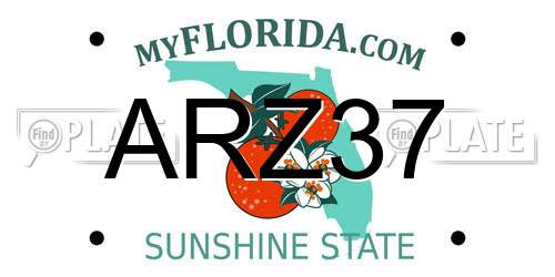 ARZ37 Florida License Plate