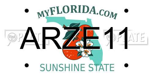 ARZE11 Florida License Plate