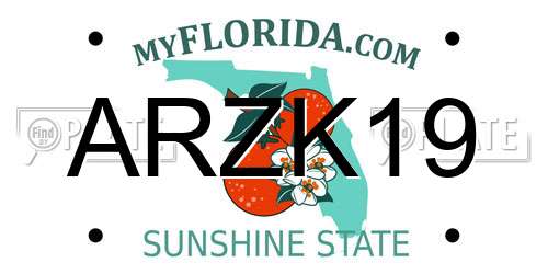 ARZK19 Florida License Plate