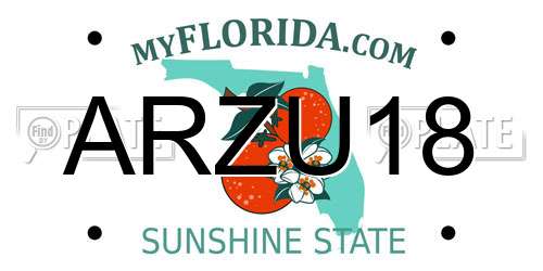ARZU18 Florida License Plate