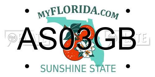 AS03GB Florida License Plate