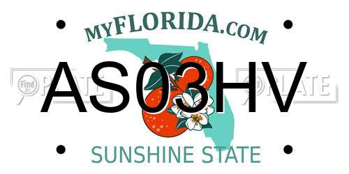 AS03HV Florida License Plate