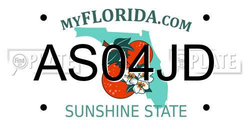 AS04JD Florida License Plate