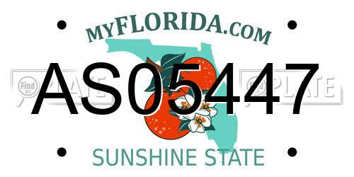 AS05447 Florida License Plate