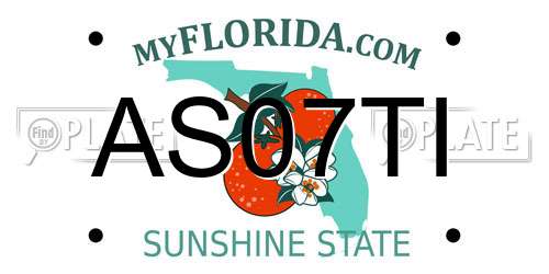 AS07TI Florida License Plate