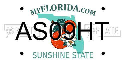 AS09HT Florida License Plate