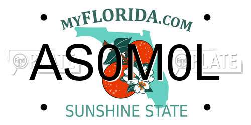 AS0M0L Florida License Plate