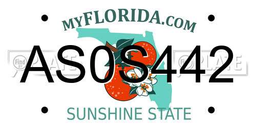 AS0S442 Florida License Plate