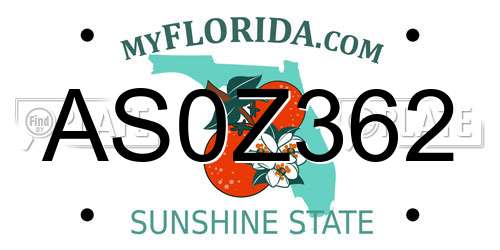 AS0Z362 Florida License Plate