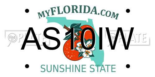 AS10IW Florida License Plate