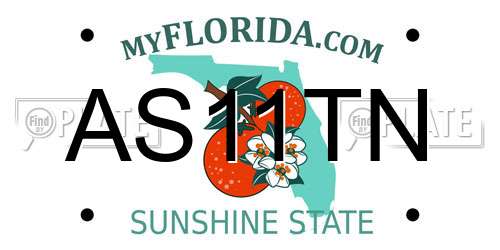 AS11TN Florida License Plate