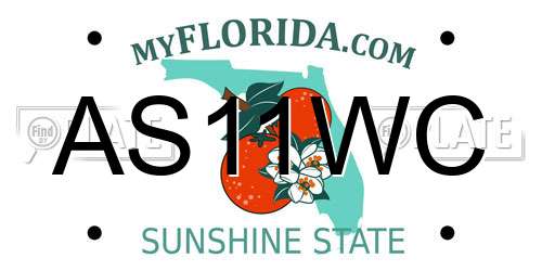 AS11WC Florida License Plate
