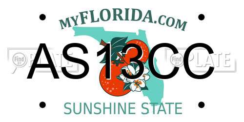 AS13CC Florida License Plate