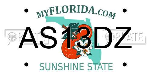 AS13DZ Florida License Plate