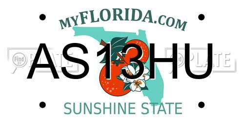 AS13HU Florida License Plate