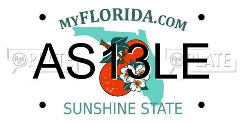 AS13LE Florida License Plate