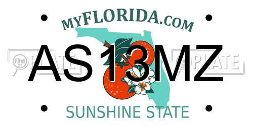 AS13MZ Florida License Plate