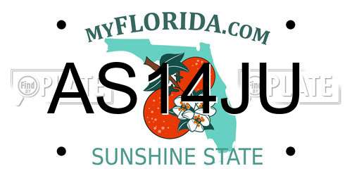 AS14JU Florida License Plate
