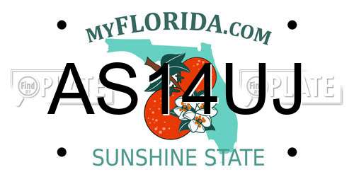 AS14UJ Florida License Plate