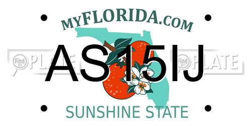 AS15IJ Florida License Plate