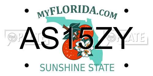 AS15ZY Florida License Plate