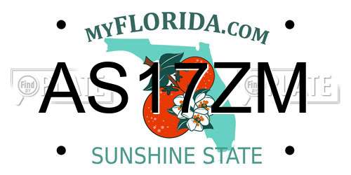 AS17ZM Florida License Plate