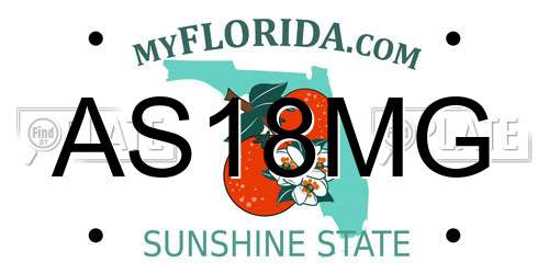 AS18MG Florida License Plate