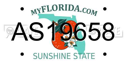 AS19658 Florida License Plate